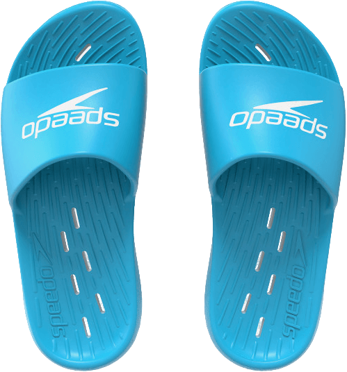 Speedo